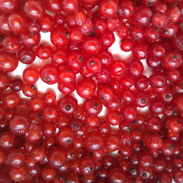 Johannisbeeren